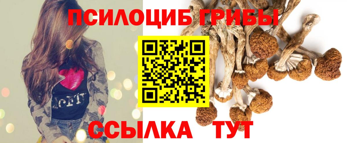Псилоцибиновые грибы MAGIC MUSHROOMS  Вход с VPN  Ивантеевка 
